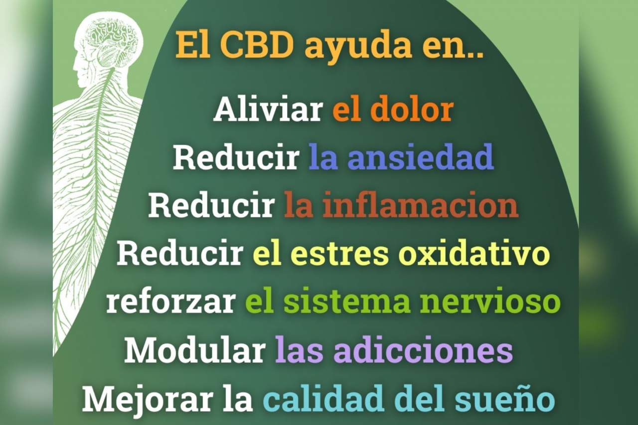 El cannabis (CBD) ecológico y proyecto medioambiental que presenta Spirit Natura