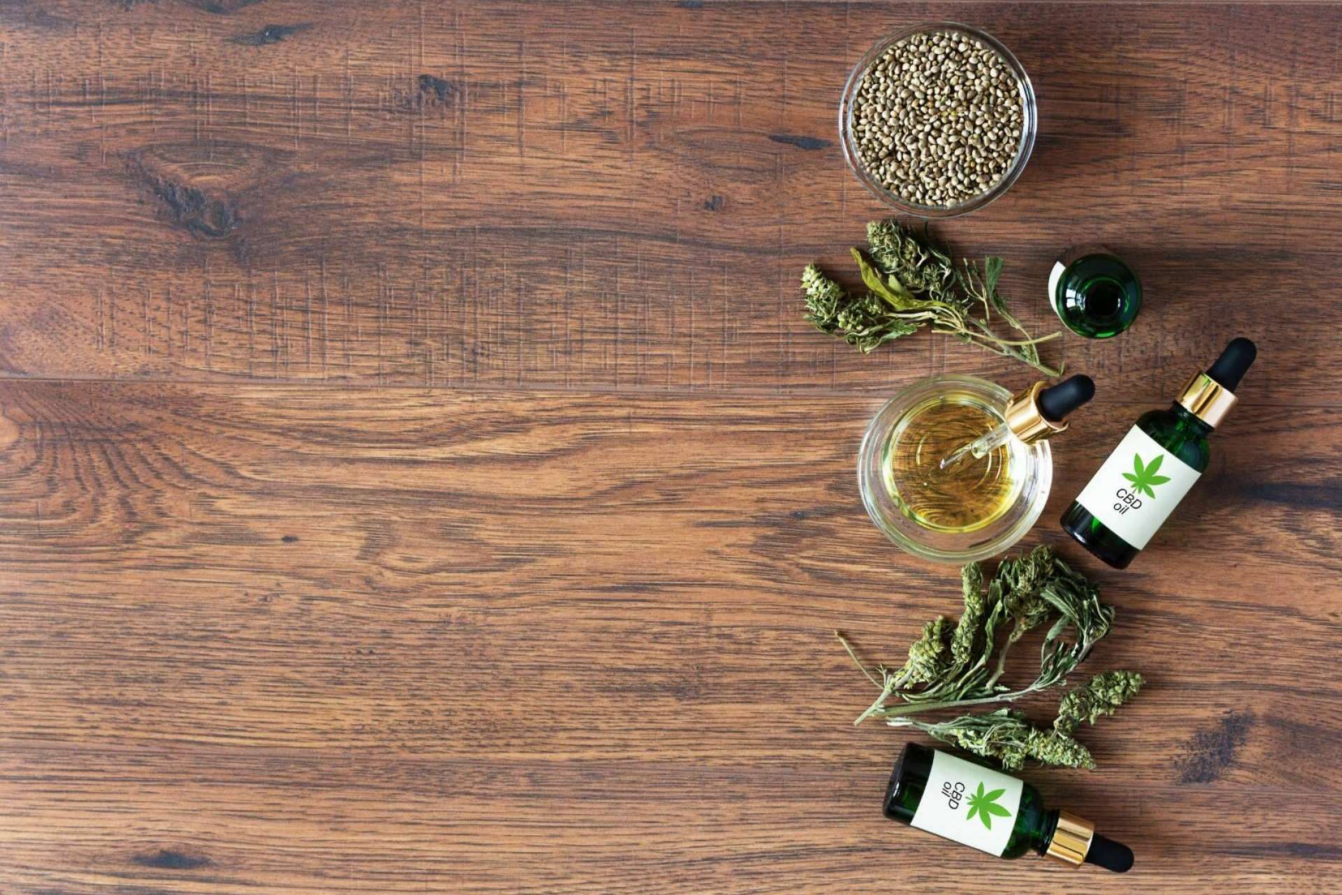De Pata Verde explica todo lo que se debe saber del aceite CBD