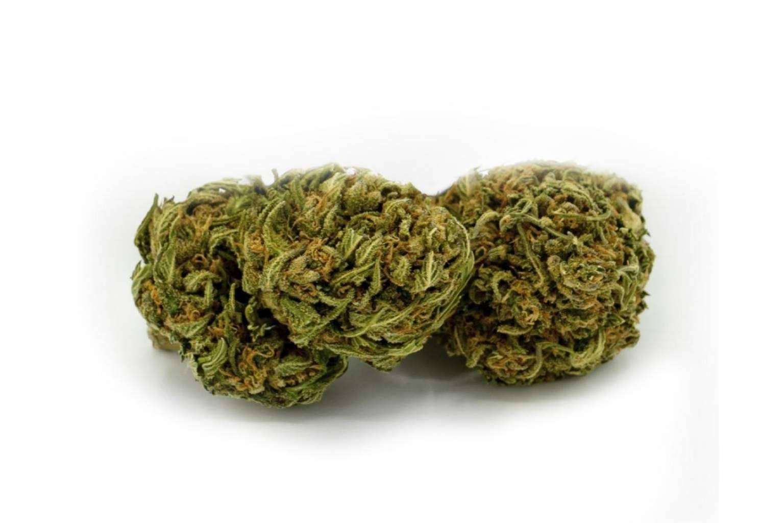 Comprar cogollos CBD 100% legales es posible en la tienda online La Mal Querida