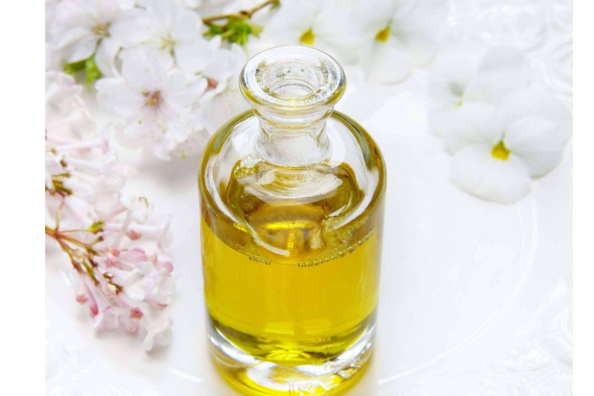 Opiniones y características del aceite CBD de Wildcbd