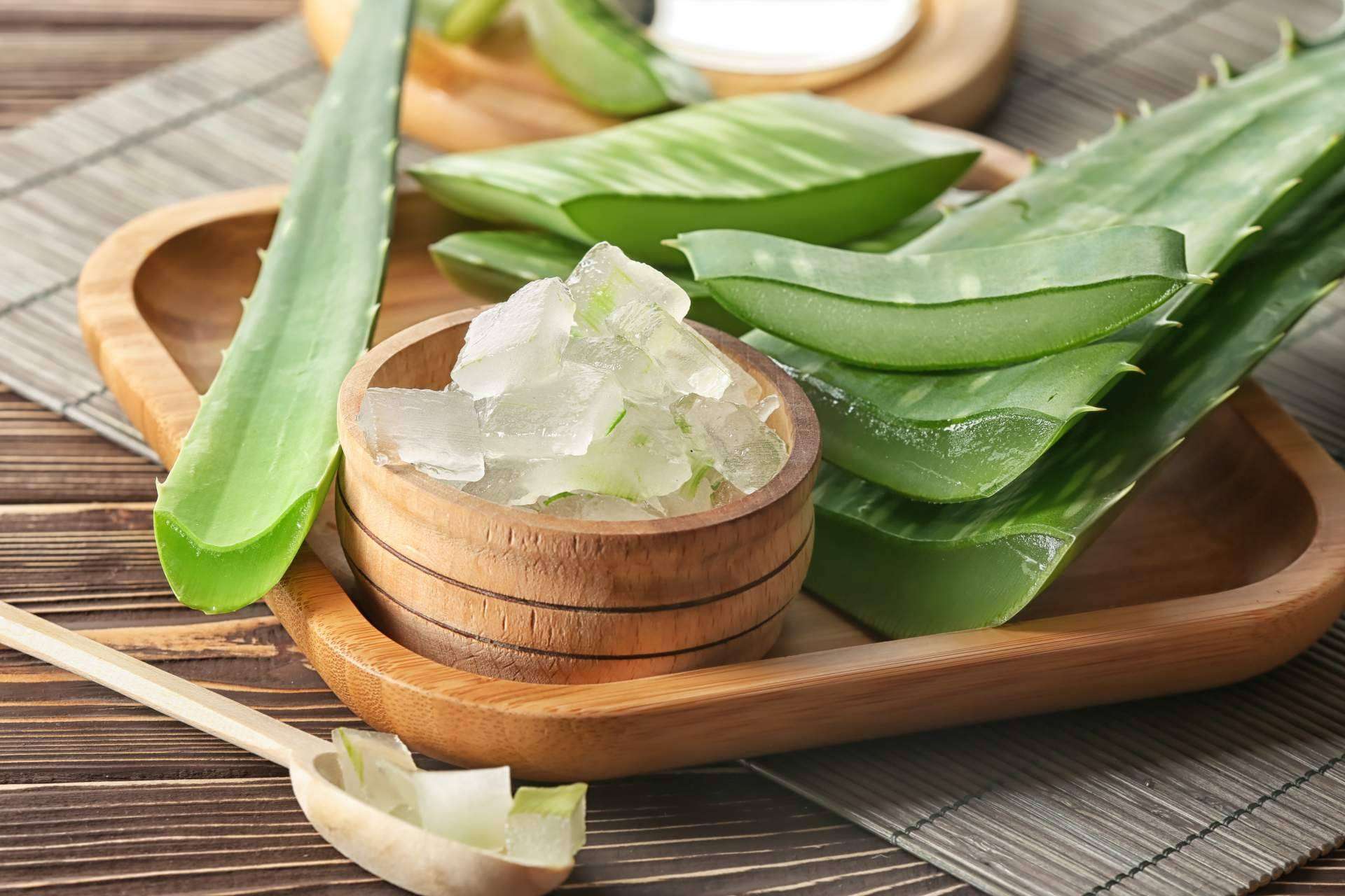 Territorio Aloe: los beneficios del aloe vera