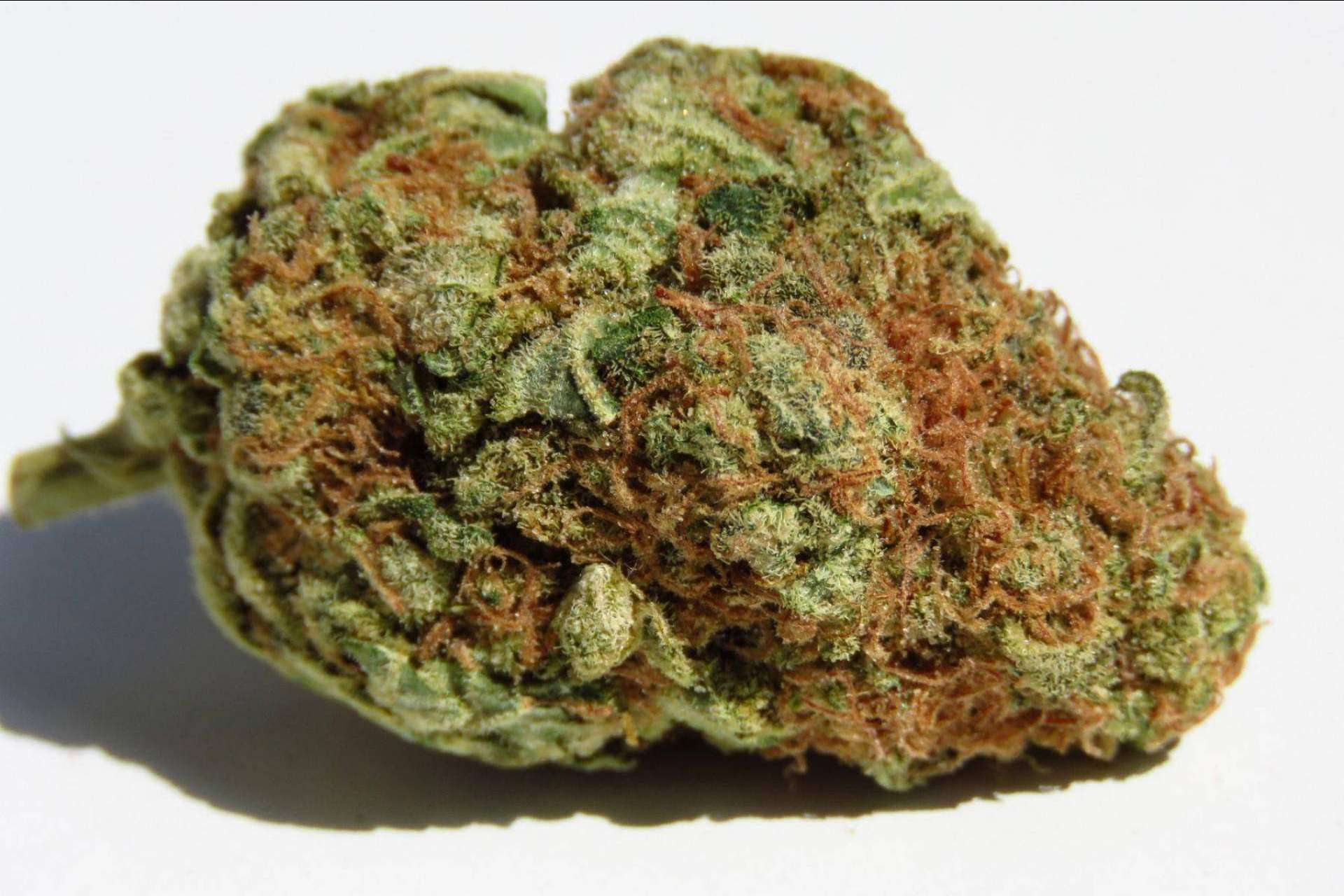 El cannabis no psicoactivo: ¿Qué son las flores de cannabidiol? por De Pata Verde