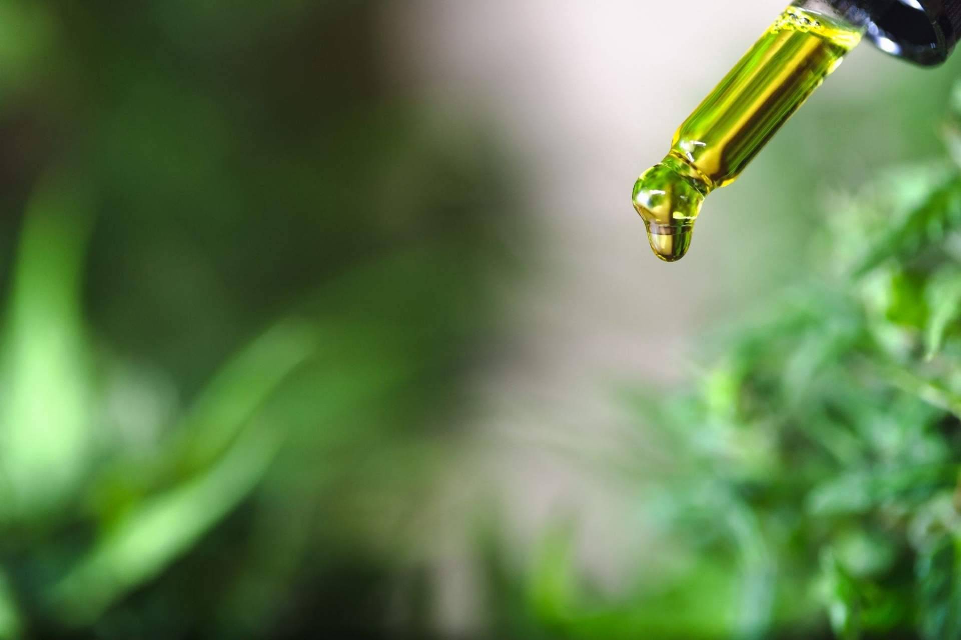 El aceite CBD es útil para tratar molestias musculares, según afirma Premium Legal Hemp
