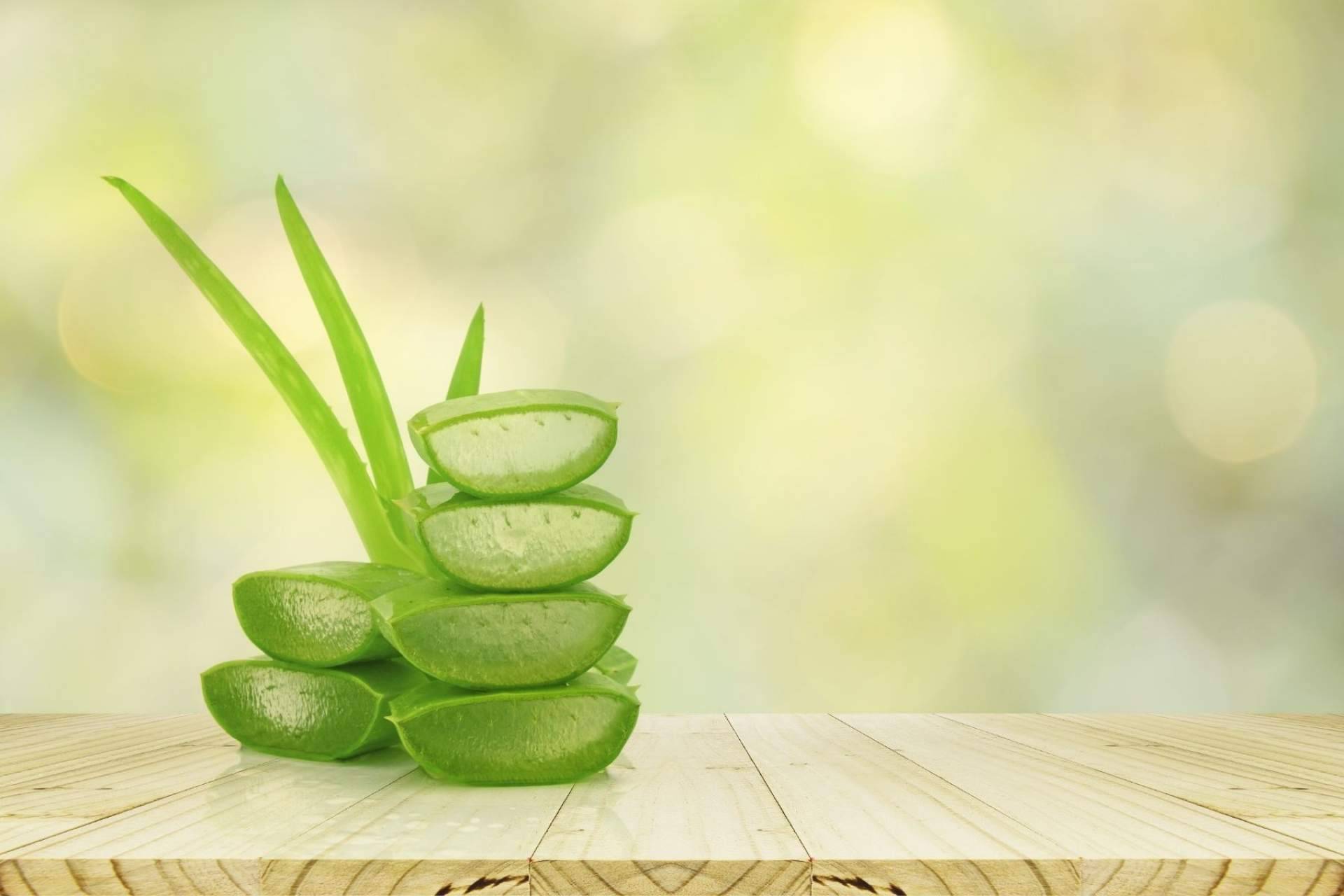 TerritorioAloe exprime las propiedades del aloe vera