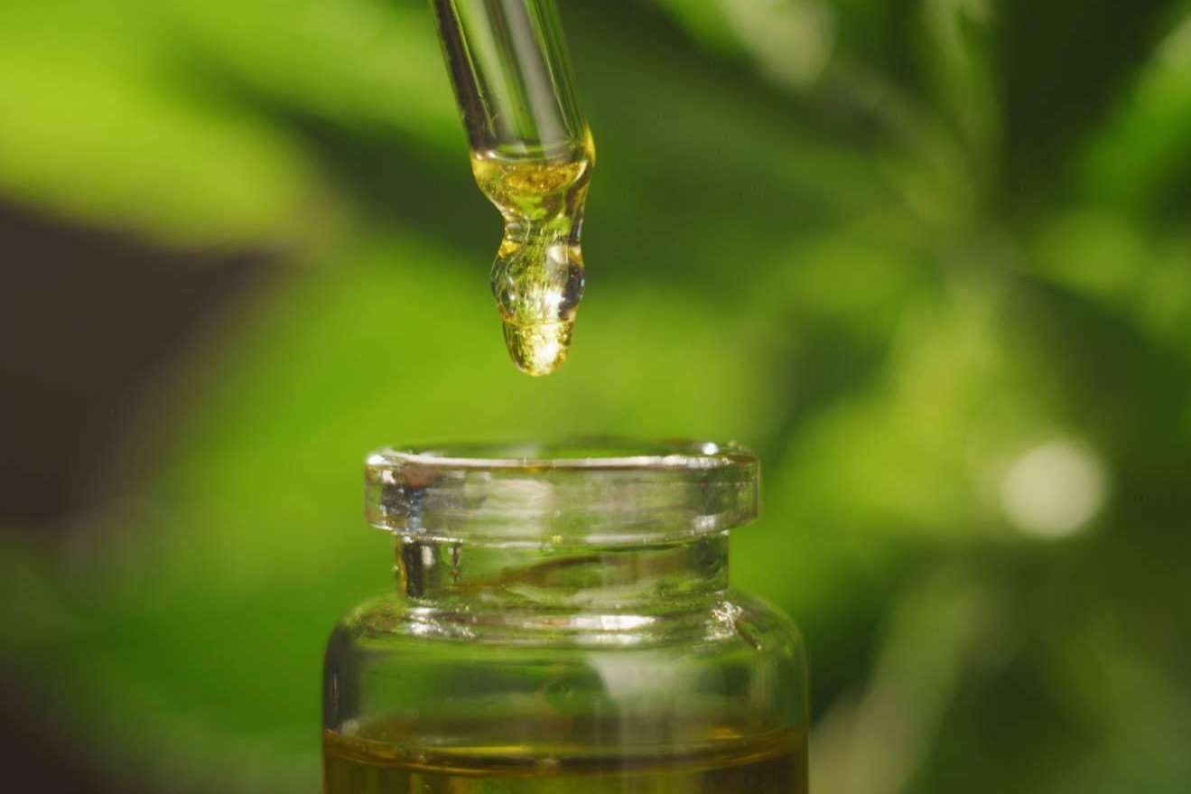 La problemática y las ventajas del CBD, por Legal Hemp