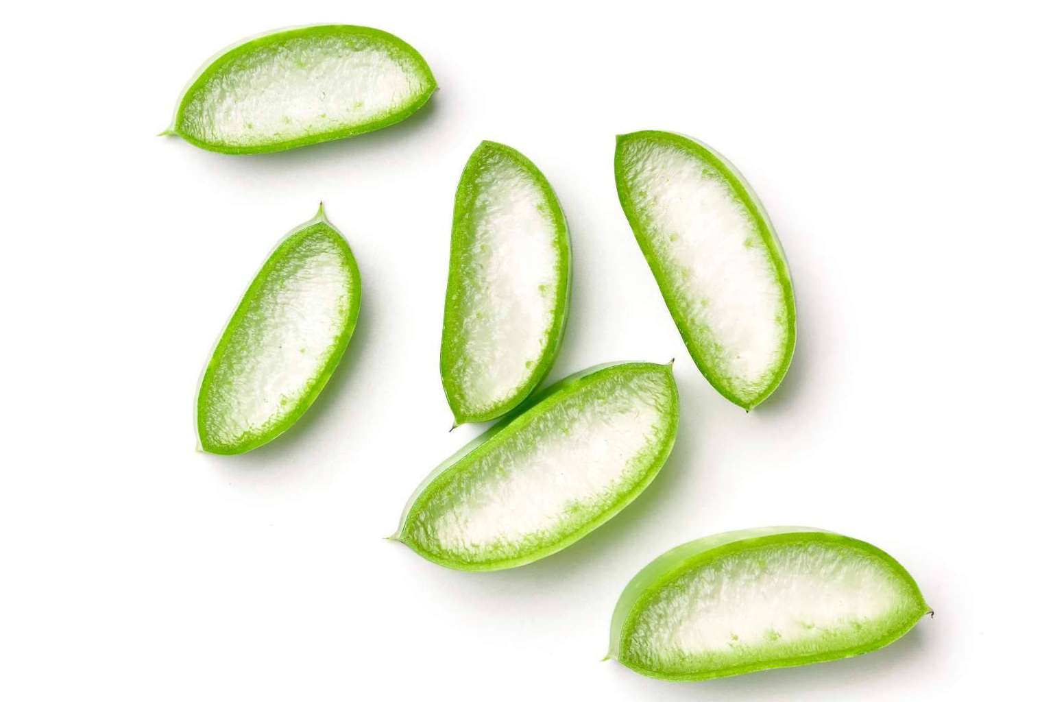 ¿Qué es TerritorioAloe?:  una oportunidad de negocio para los amantes del aloe vera