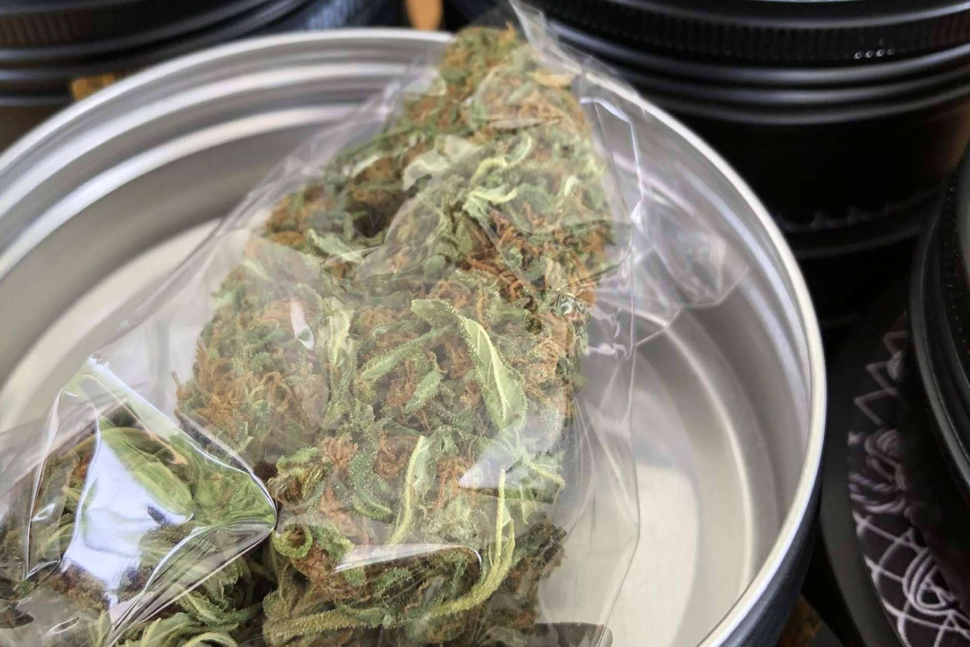 El aumento del cultivo de cáñamo en España: La Mal Querida Sativa