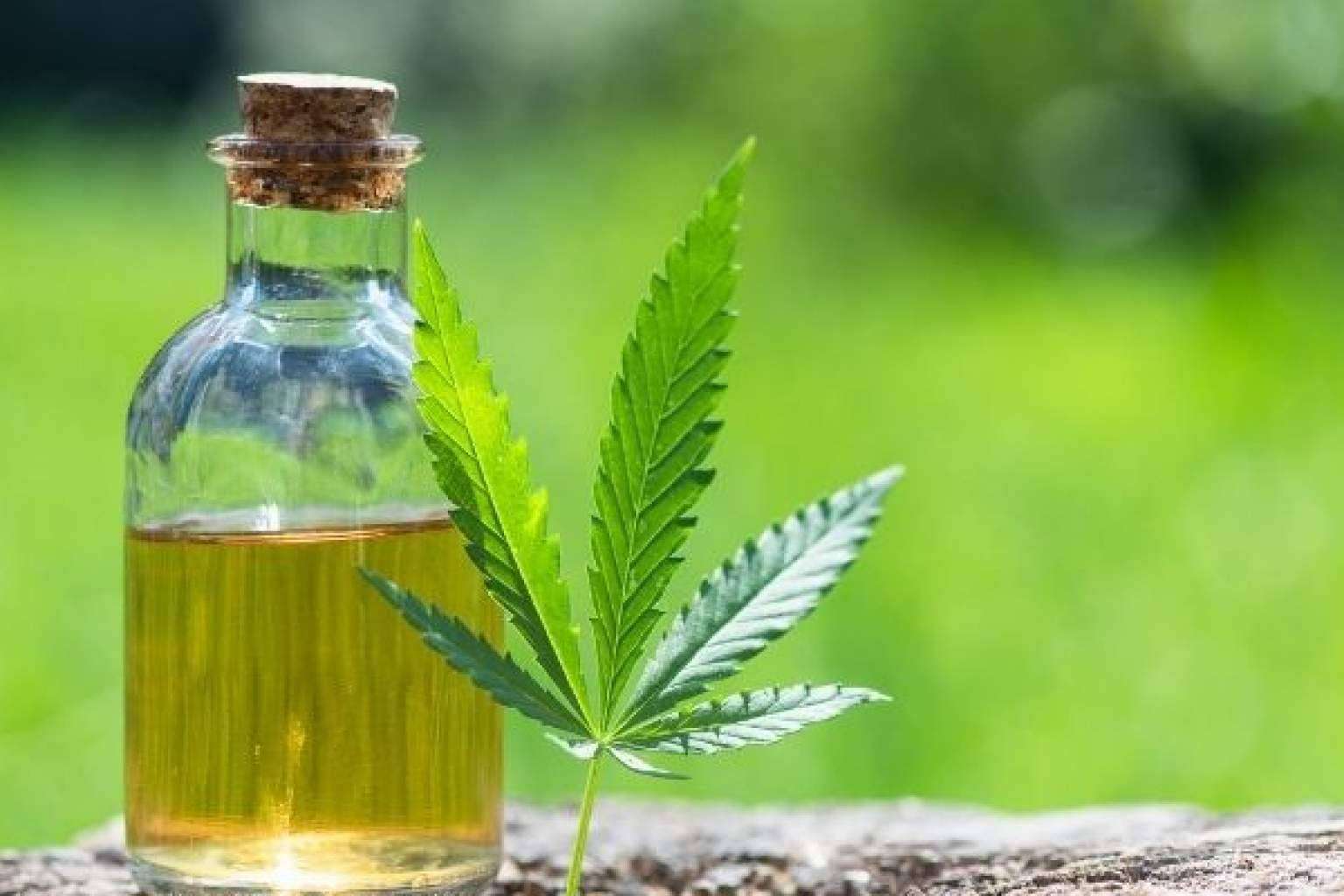 La importancia de comprar aceite CBD en el lugar adecuado, por CBD Organics