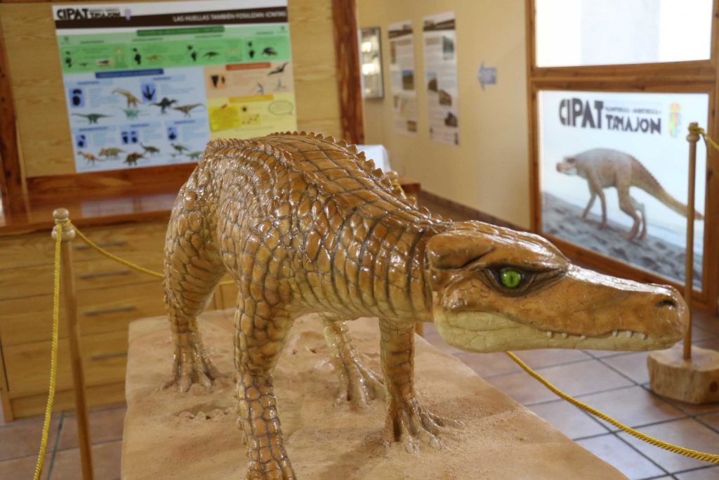 Foto de Premio de la Fundación Eurocaja Rural al CIPAT de Tamajón