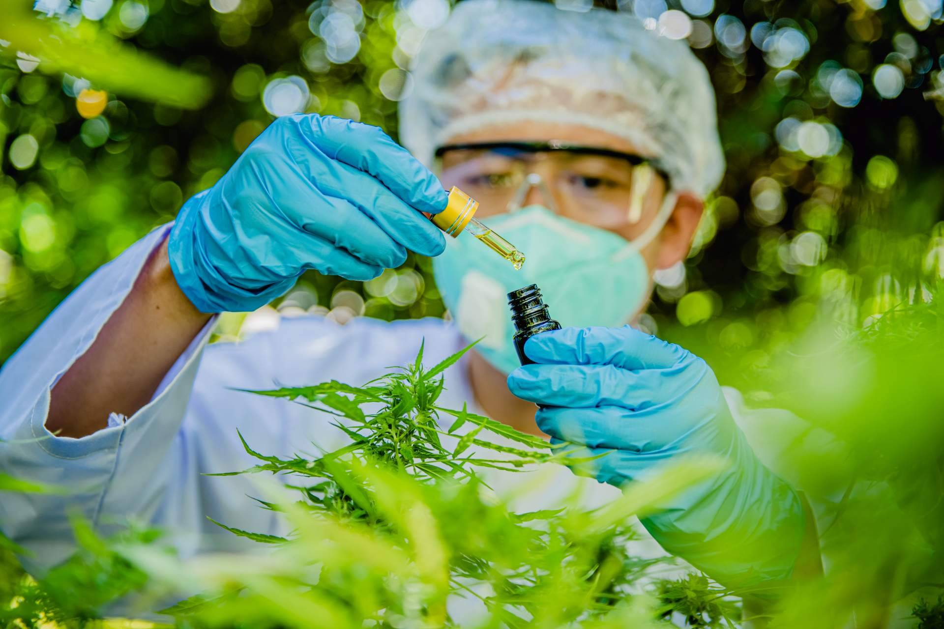 Farma CBD ofrece a sus clientes el catálogo online más amplio de aceite de cannabidiol