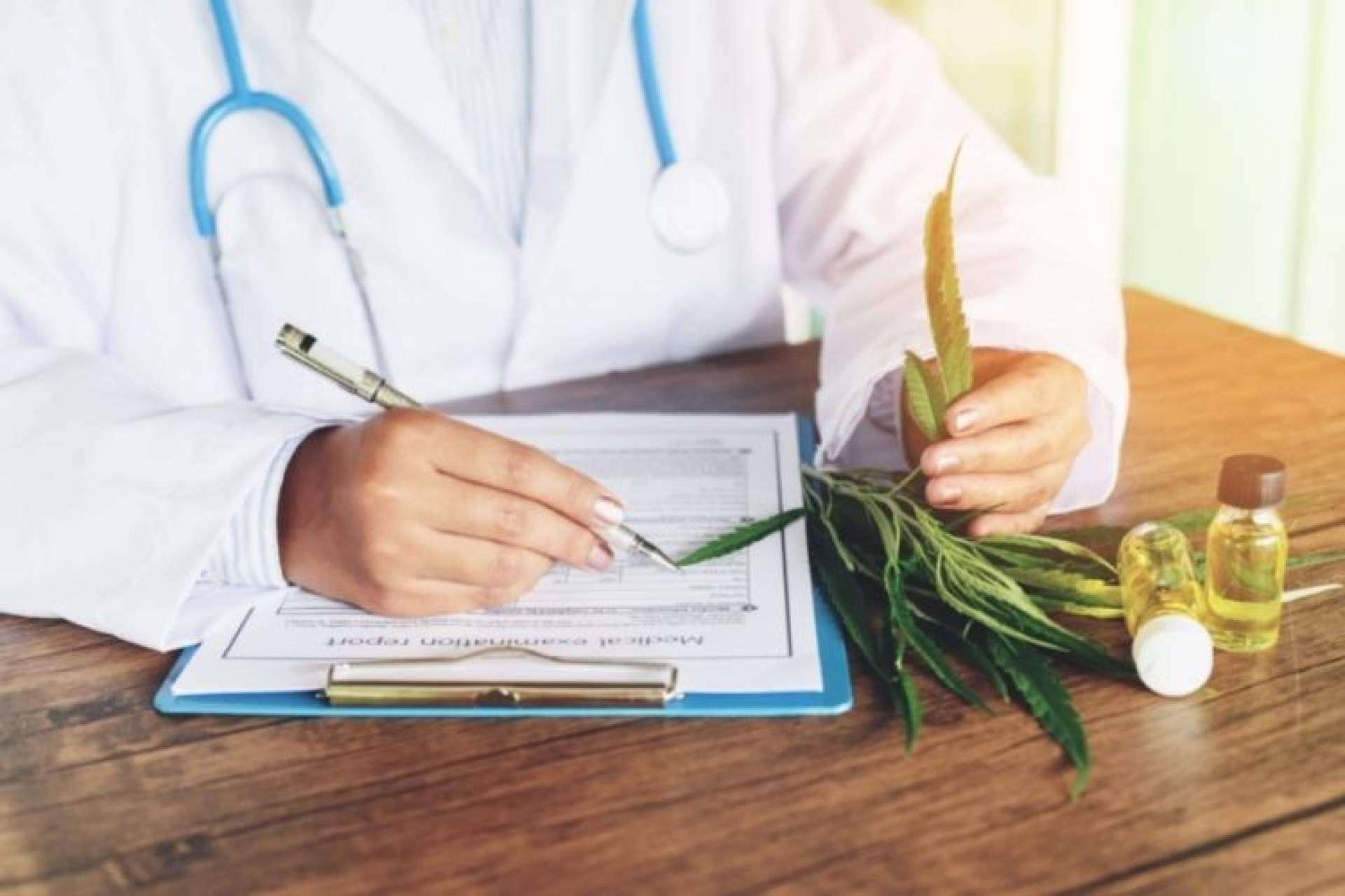 CBD Organics ofrece aceites de CBD
