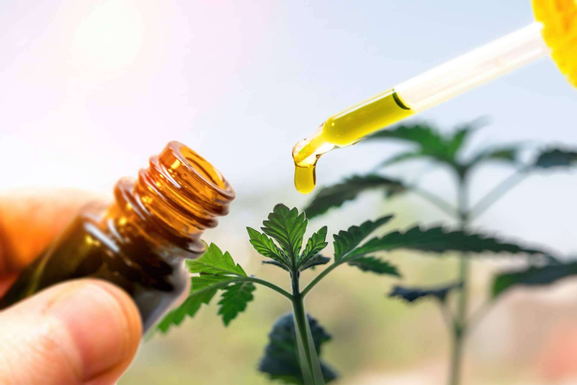 ¿Cuáles son las propiedades del CBD en los productos más destacados de Legal Hemp?