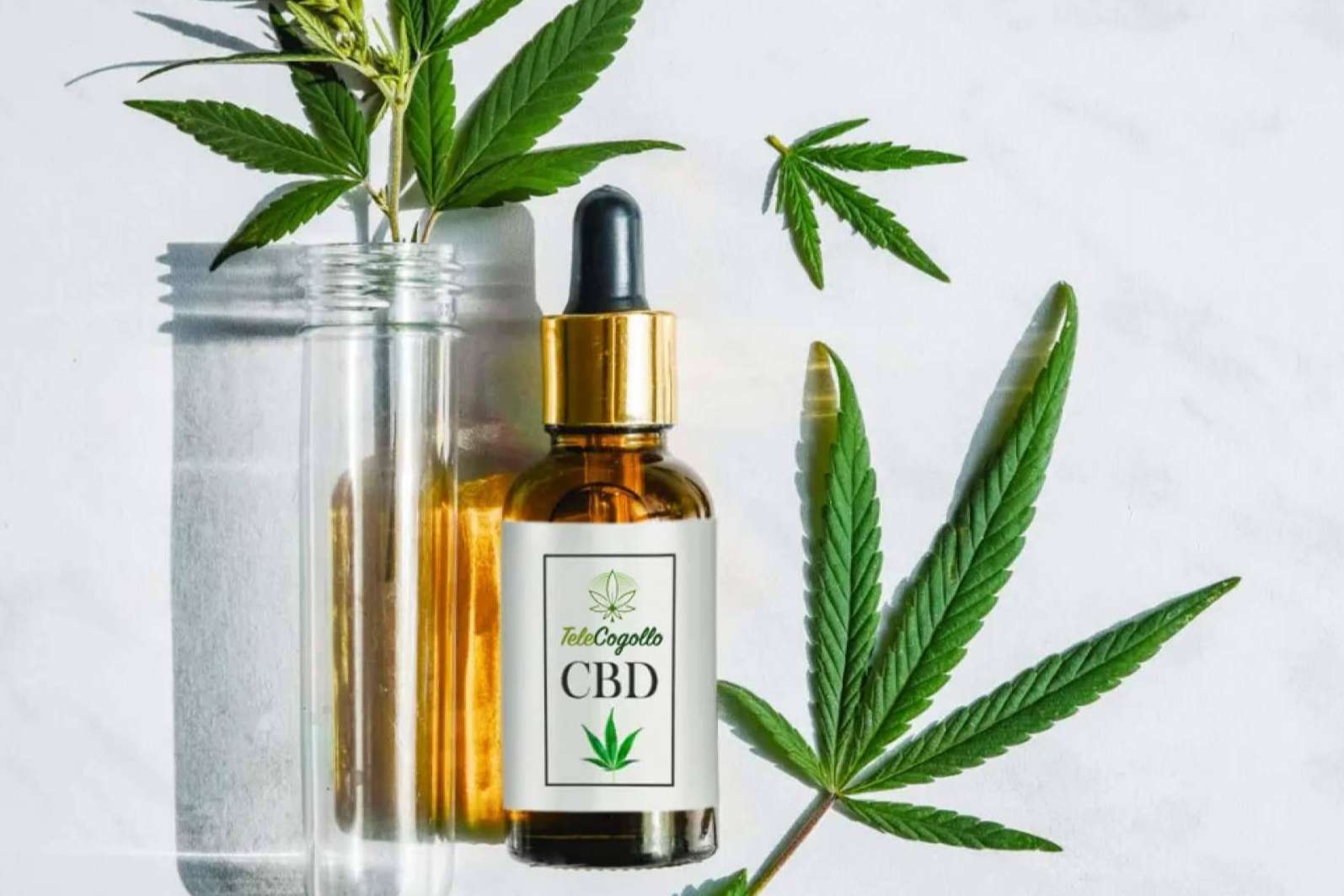 Aceites CBD y otros cannabinoides de TeleCogollo