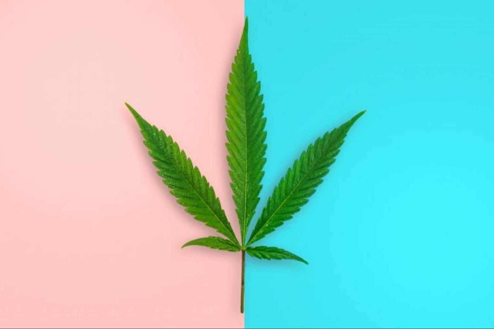 Marca de CBD fundada por una mujer emprendedora para combatir su adicción a los fármacos para dormir, Ezencia