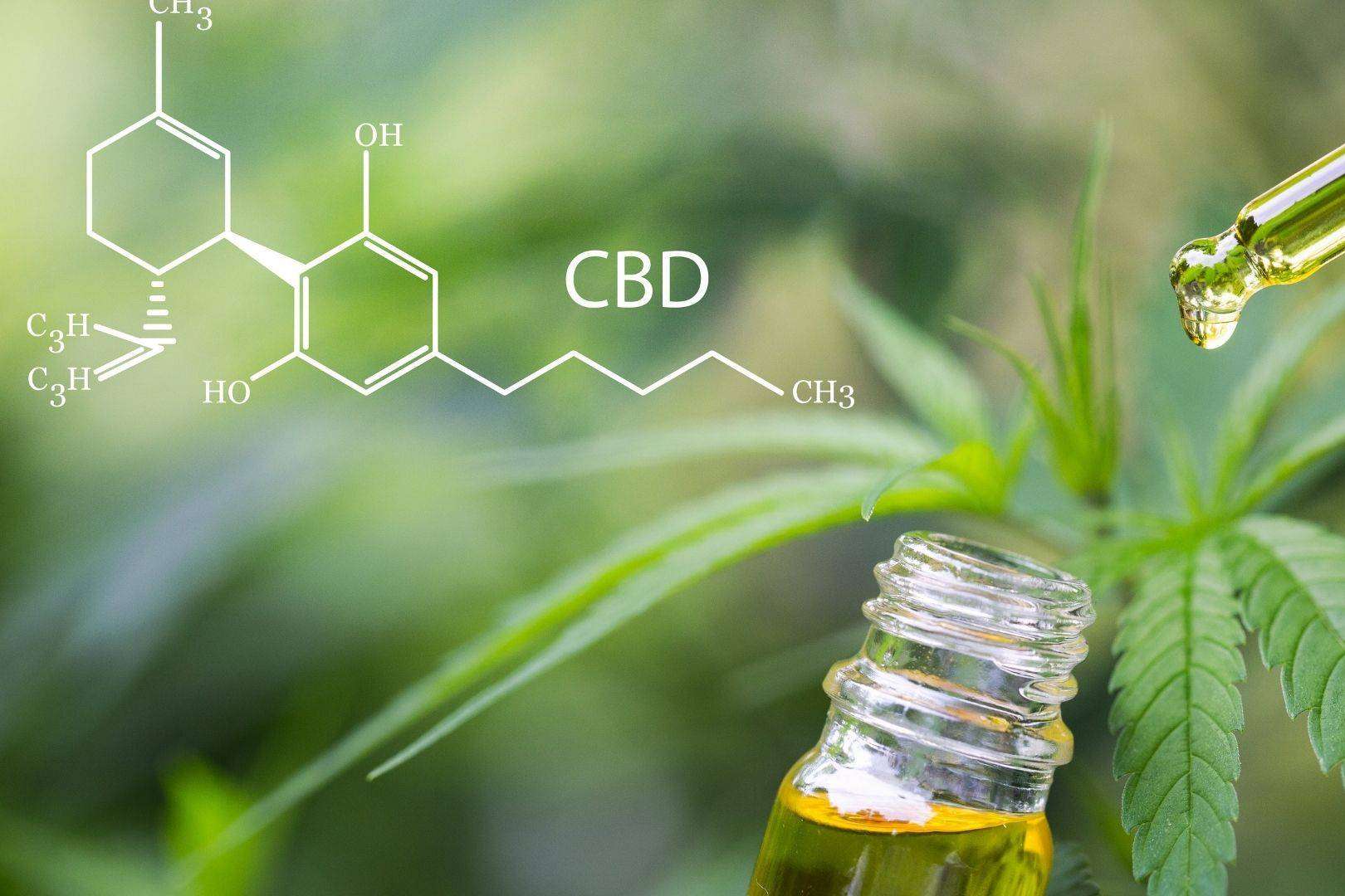 El CBD está ganando popularidad, por CrisEssens