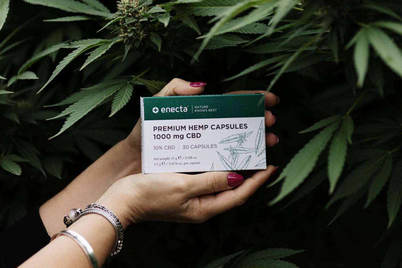 ¿Cuáles son los beneficios del aceite CBD?, por Enecta