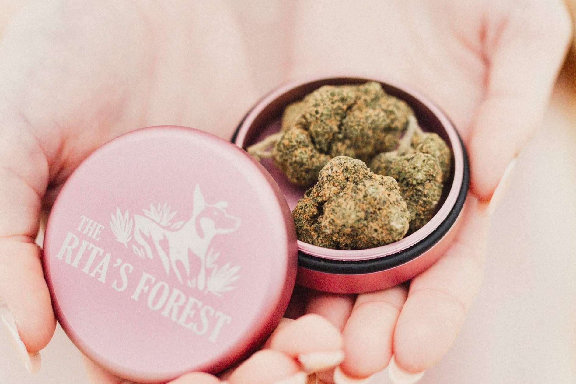 El CBD y sus beneficios, de la mano de The Rita's Forest