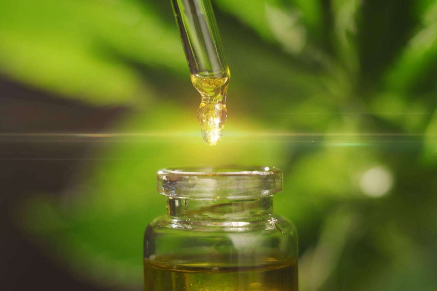 Comprar CBD es posible de la mano de Flower Farm