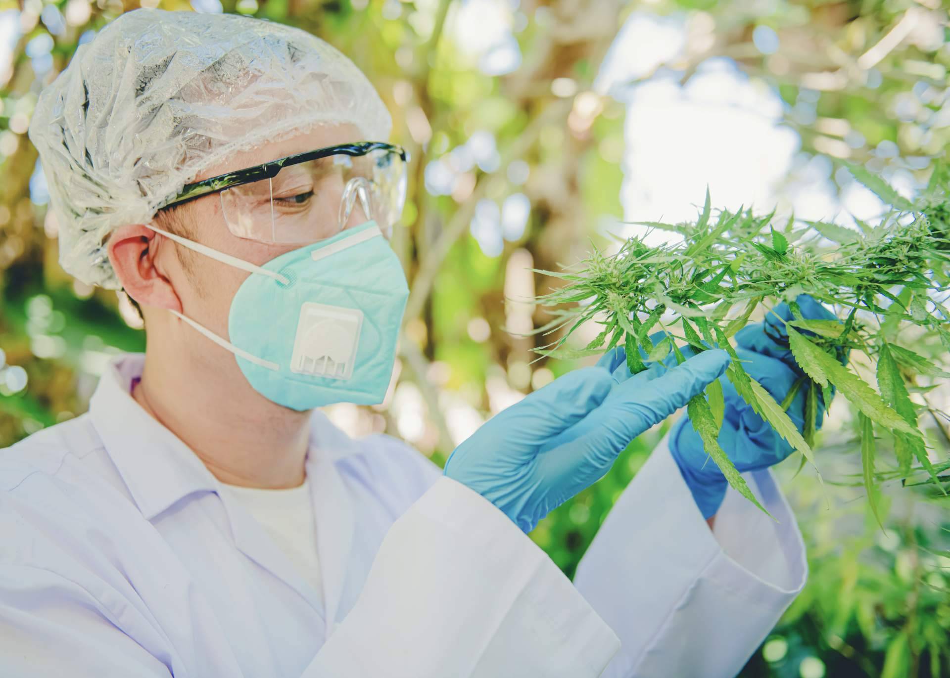 Greengos habla de los beneficios que ofrece el CBD para el deporte