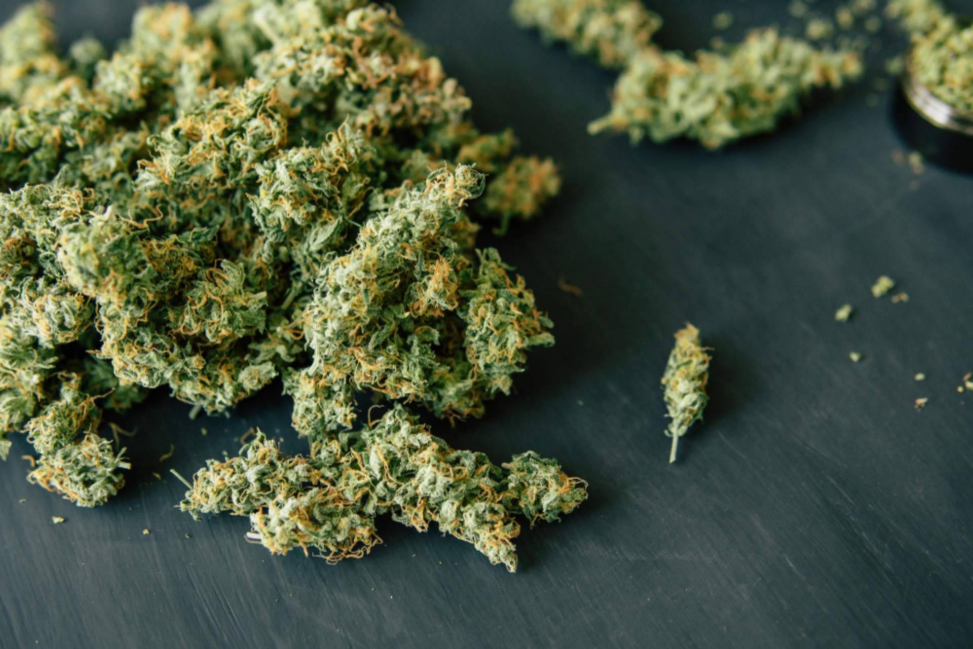 Barcelona Cannabis, el sitio web dedicado a la difusión de información sobre la comunidad cannábica en Barcelona