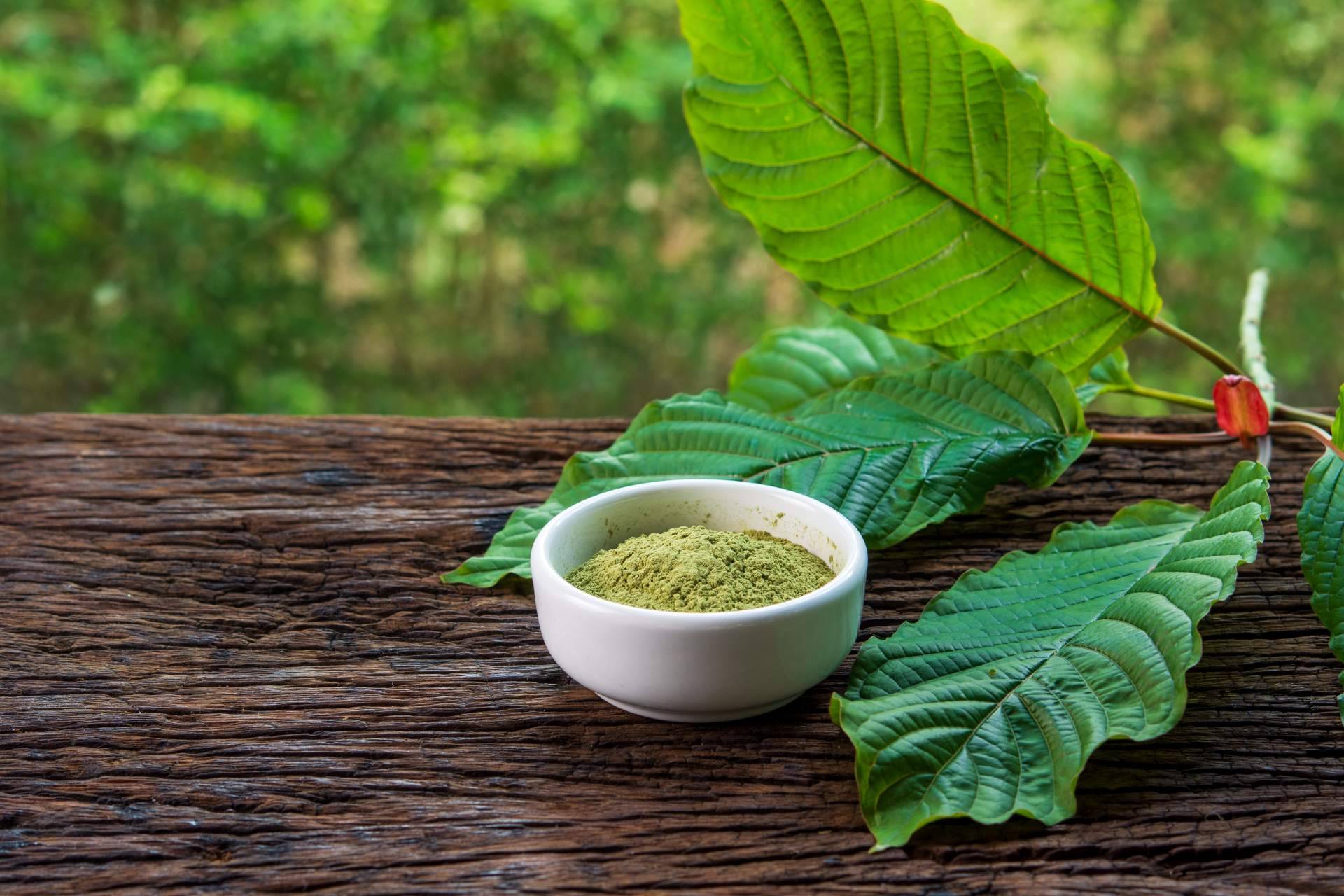 Kratom World explica cuáles son los beneficios del kratom