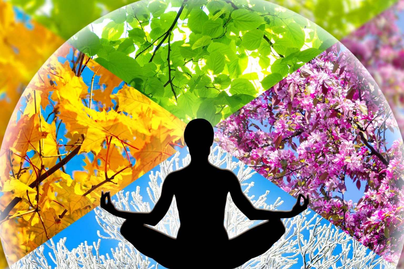 eeMindful ofrece terapias de meditación guiada con mindfulness