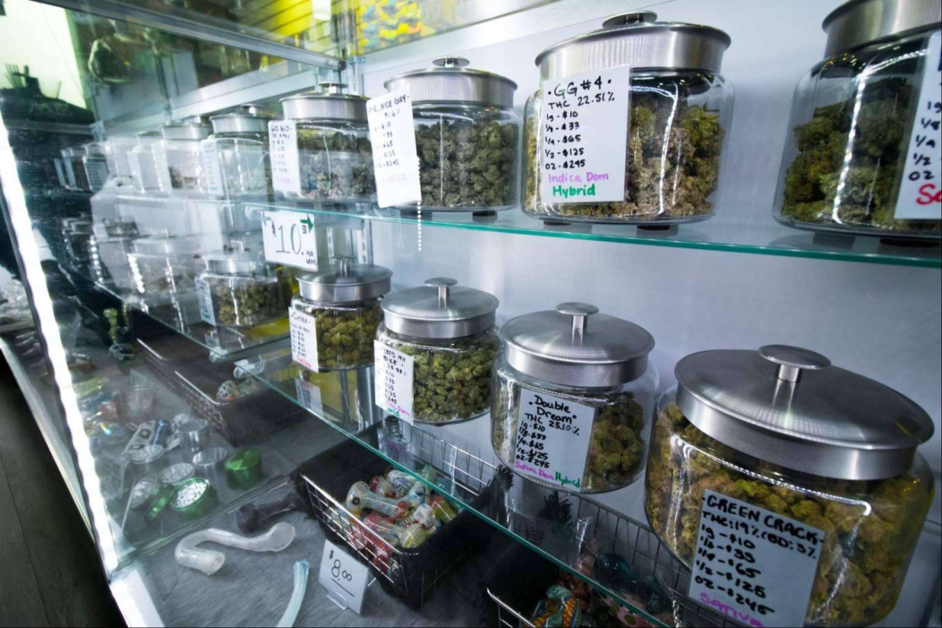 ¿Por qué es importante consultar con abogados especializados en CBD para evitar transgredir la ley vigente?