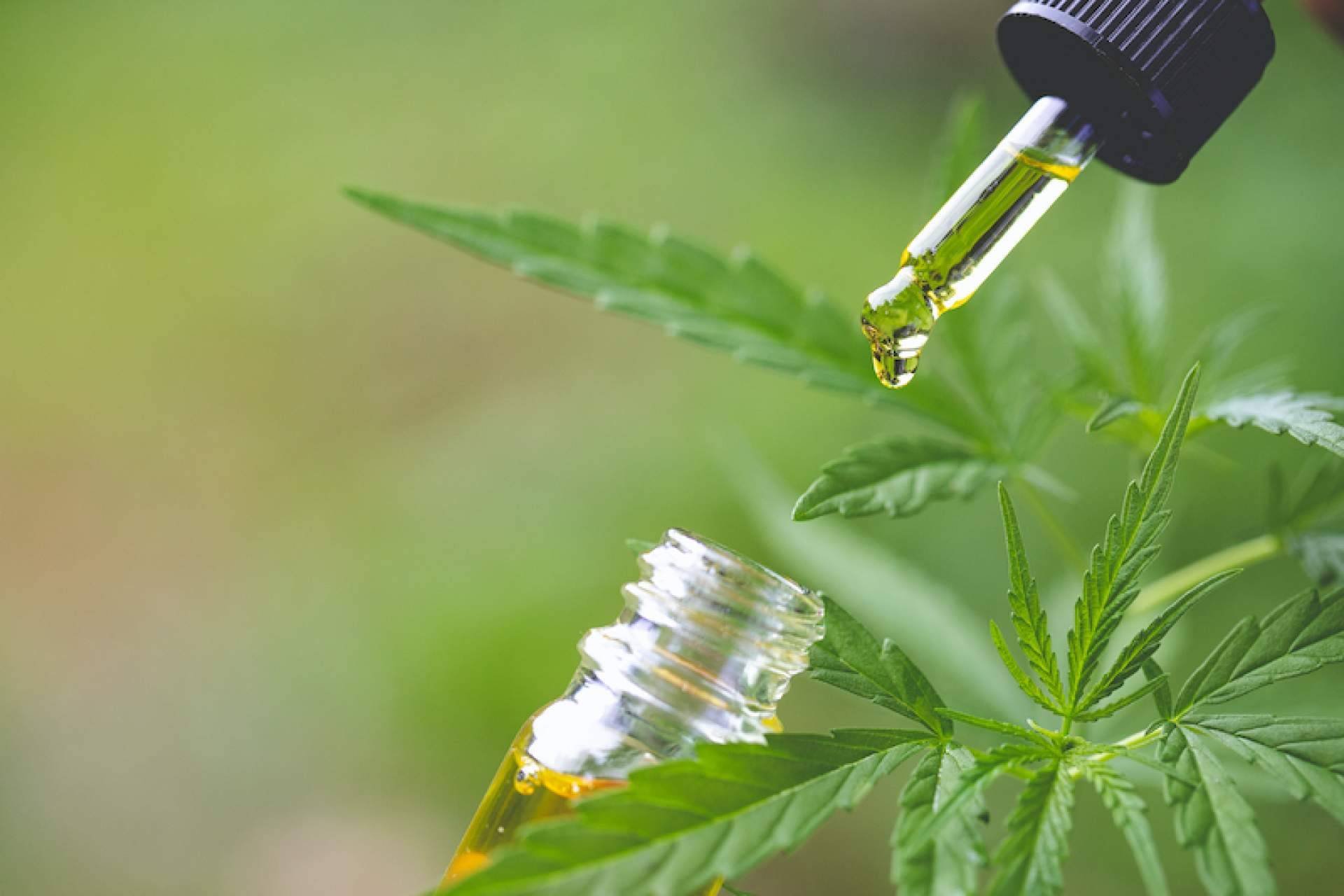 Cuidado personal en CBD, con CBD Torrejón de Ardoz