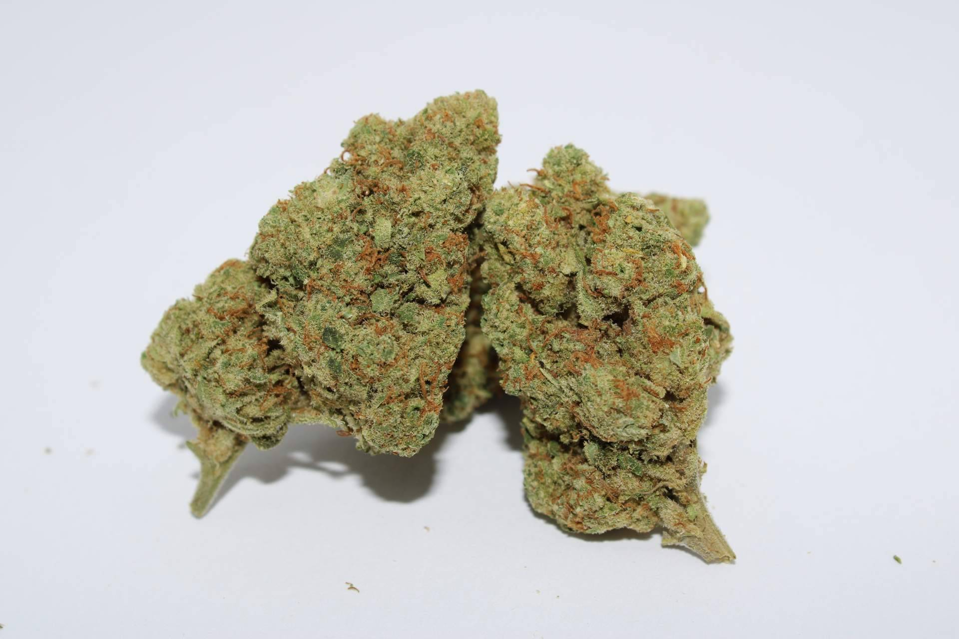 Mayorista CBD en España con envío rápido, We Henko amplía su red con entregas en 24-48 horas