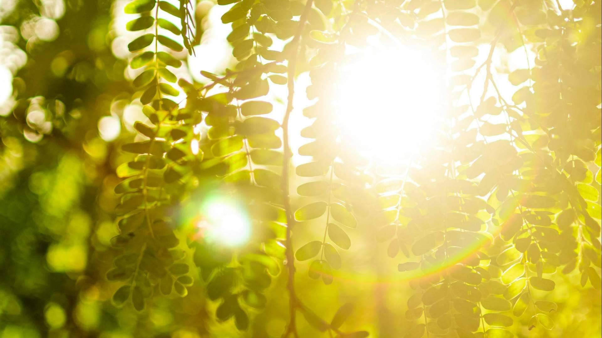 Cuando la primavera no termina; el impacto silencioso del clima en el bienestar